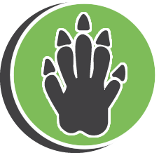 Buzz Dead Rodent Removal Service